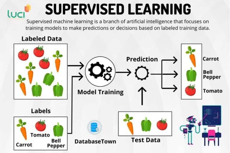 Machine learning là gì? – 10 thuật toán học máy phổ biến nhất - Luci