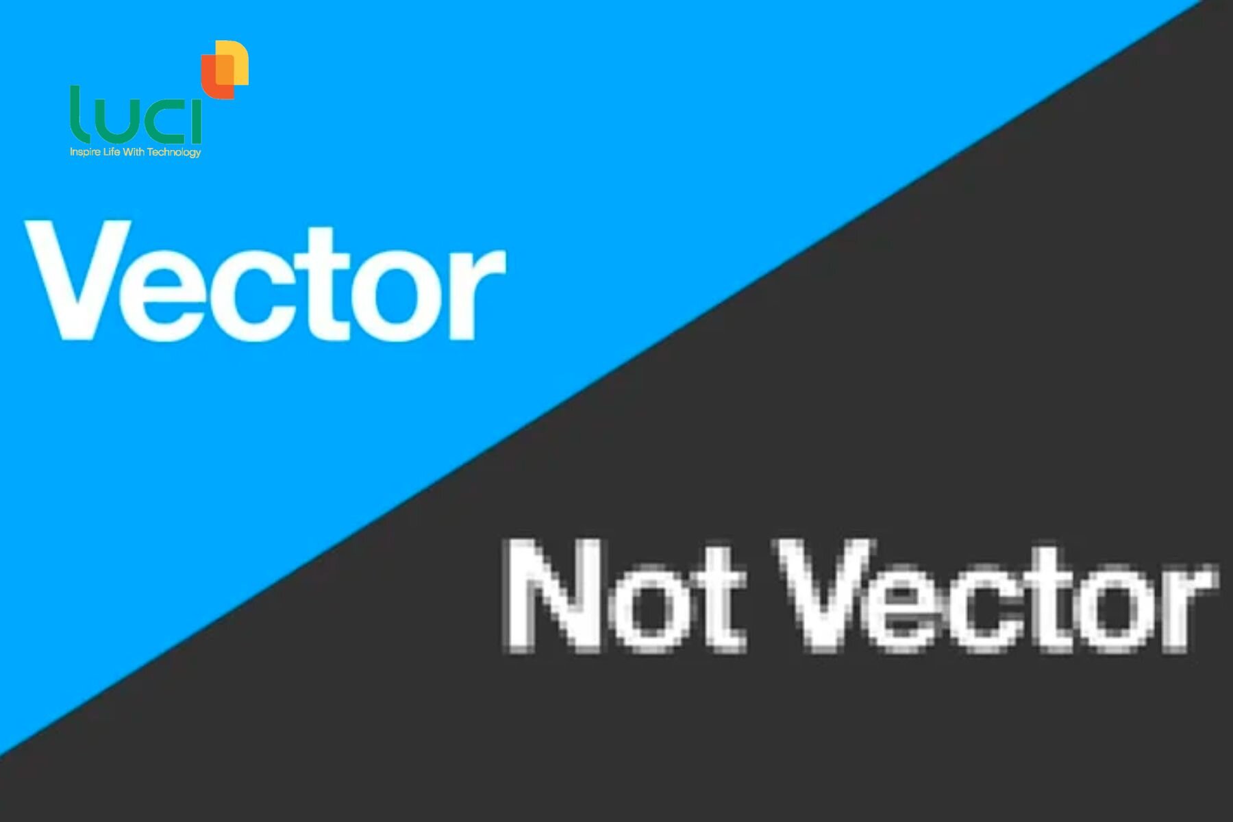 File Vector là gì