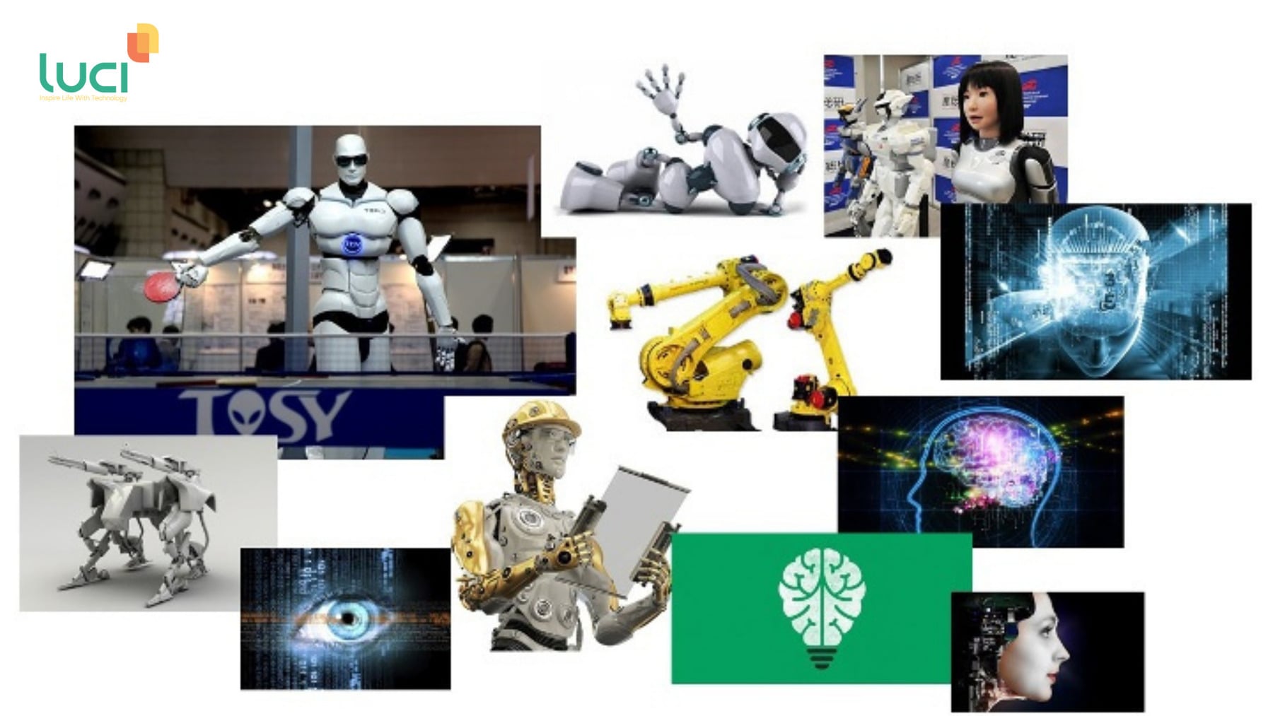 Robot đóng vai trò quan trọng trong đời sống hằng ngày
